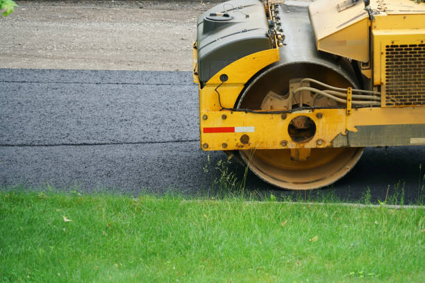 Best Driveway Border and Edging  in Whitney Point, NY